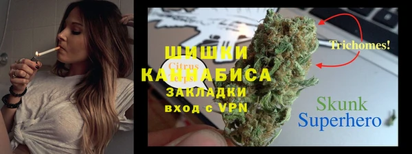 хмурый Арсеньев