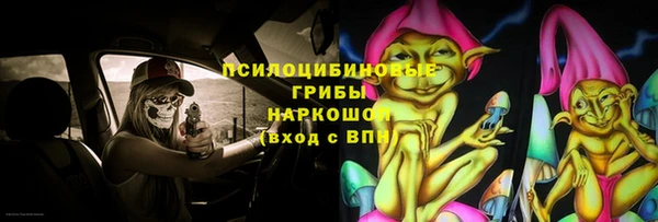 хмурый Арсеньев
