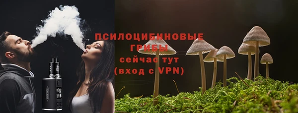 тгк Аркадак