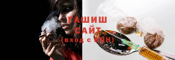 хмурый Арсеньев